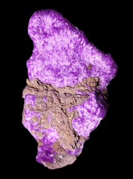 Sugilite with Aegerine from N'Chwanning III Mine, Kalahari manganese fields, Republic of South Africa [db_pics/pics/sugilite6c.jpg]