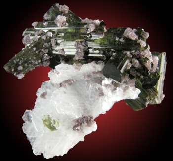 Tourmaline var. Elbaite on Clevelandite from Pederneira Mine, Minas Gerais, Brazil [db_pics/pics/tourm10b.jpg]
