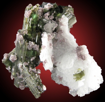 Tourmaline var. Elbaite on Clevelandite from Pederneira Mine, Minas Gerais, Brazil [db_pics/pics/tourm10d.jpg]
