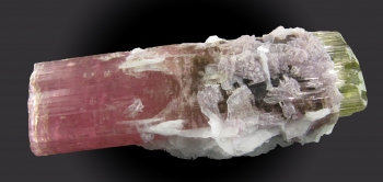 Tourmaline Var. Elbaite w/ Clevelandite and Lepidolite from Himalaya Mine, Mesa Grande, San Diego County, California [db_pics/pics/tourm16d.jpg]