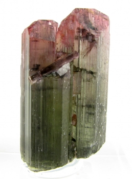 Tourmaline var. Liddicoatite from Antsirabe Province, Madagascar [db_pics/pics/tourm1c.jpg]
