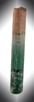 Tourmaline Var. Bi-Color Elbaite from Las Velhaus Mine, Minas Gerais, Brazil [db_pics/pics/tourm21c.jpg]