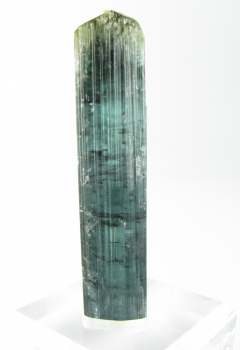 Tourmaline Var. Indicolite w/ muscovite from Santa Maria Mine, Minas Gerais, Brazil [db_pics/pics/tourm22b.jpg]