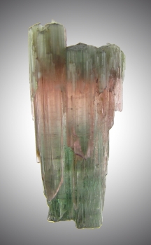 Tourmaline Var. Bi-Color Elbaite from Barra Da Salinas, Minas Gerais, Brazil [db_pics/pics/tourm27b.jpg]