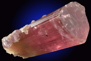 Tourmaline Var. Bi-Color Elbaite with Lepidolite from Himalaya Mine, Mesa Grande, San Diego County, California [db_pics/pics/tourm28b.jpg]