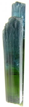 Tourmaline var. Elbaite from New Santa Rosa Mine, Minas Gerais, Brazil [db_pics/pics/tourm2b.jpg]