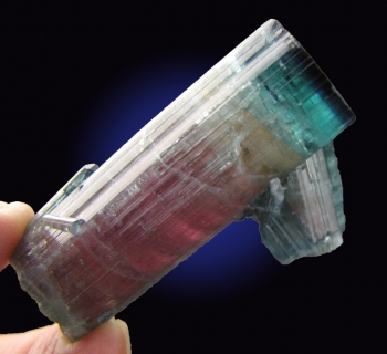 Tourmaline Var. Tri-color Blue Cap from Sapo Mine, Goibiera, Minas Gerais, Brazil [db_pics/pics/tourm36d.jpg]