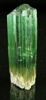 Tourmaline Var. Bi-color Elbaite from Barra Da Salinas, Minas Gerais, Brazil [db_pics/pics/tourm44e.jpg]
