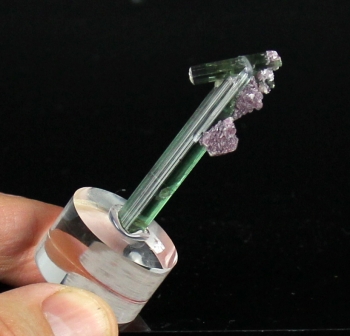 Tourmaline var. Indicolite with Lepidolite from Santa Rosa Mine, Itambacuri, Brazil [db_pics/pics/tourm51a.jpg]