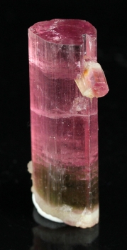 Tourmaline var. Bi-color Elbaite from Himalaya Mine, Mesa Grande, San Diego Co., California [db_pics/pics/tourm54b.jpg]
