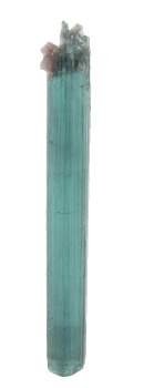 Tourmaline var. Indicolite with Lepidolite from Pederneira Mine, Sao Jose da Safira, Minas Gerais, Brazil [db_pics/pics/tourm9c.jpg]